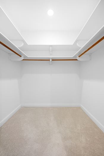 An empty room with white walls and a beige carpet