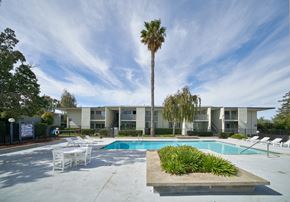 Belmont apartment for rent - A pool area with a palm tree and a building in the background.
