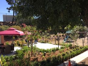 San Diego apartment for rent - a garden with a pool and a red umbrella