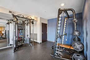 Eden Prairie apartment for rent - A gym with a variety of equipment including a squat rack, bench press, and a mirror.