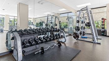 Gym with rack of dumbbells