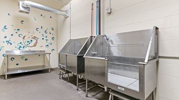 Pet washing station