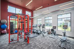Burnsville apartment for rent - A gym with a variety of equipment including a treadmill, weights, and a bench press.