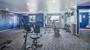 Billings apartment for rent - a gym with exercise equipment in a room with blue walls