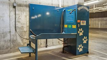 Pet washing station