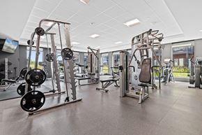 New Hope apartment for rent - A gym with a variety of equipment including weight machines and free weights.