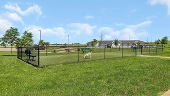 Dog park