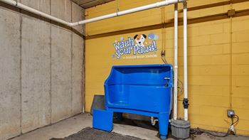 Dog wash station