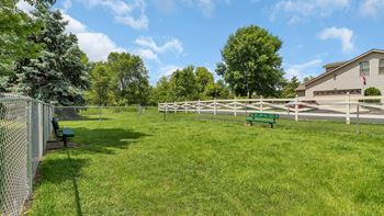 Dog park