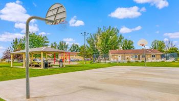 Basketball court