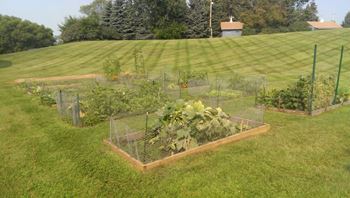 Community garden