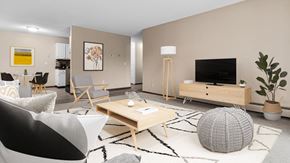 Roseville apartment for rent - A modern living room with a grey and white patterned ball on the carpet.