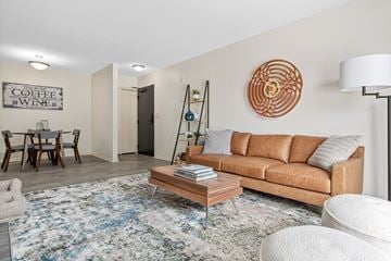 Woodbury apartment for rent - A living room with a brown couch and a rug.