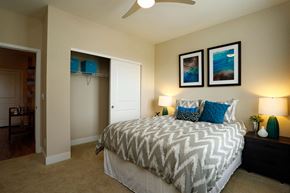 Denver apartment for rent - Cozy bedroom with walk in closet and natural light flowing in from a window on the wall opposite the closet.