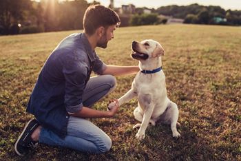 Pet friendly