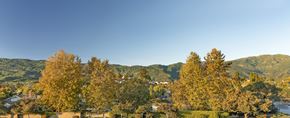 Santa Barbara apartment for rent - A landscape with trees and houses in the distance.