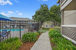 Salinas apartment for rent - Landscaping along pool at Cypress Landing, Salinas, California