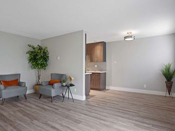 Living room come kitchen area view