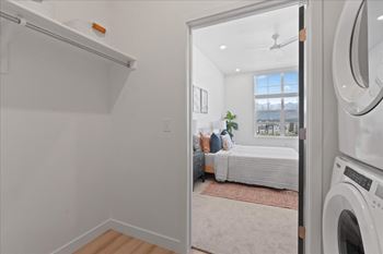 Laundry room and shelves