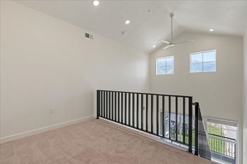 Black railing
