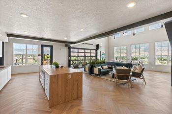 Kitchen and living area