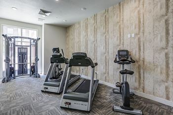 Gym with treadmills1