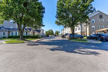 Street with cars parked