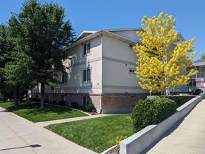 Provo apartment for rent - A tree with yellow flowers is in front of a grey building.
