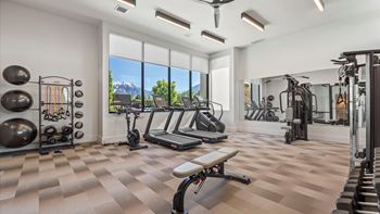 A well-equipped home gym with a view of the outdoors.