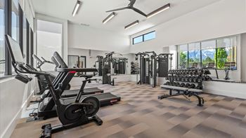 A gym with treadmills, elliptical machines, and dumbbells.