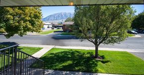 Orem apartment for rent - A tree stands in a grassy area in front of a road.