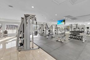 Kissimmee apartment for rent - Gym with weights at Avia Apartments at Reedy Creek, Kissimmee, FL