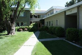 Provo apartment for rent - A tree is in front of a building.