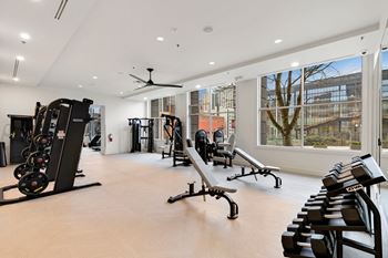 Gym equipment's 1