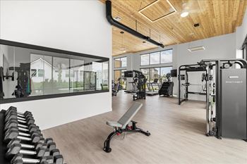 Modern gym