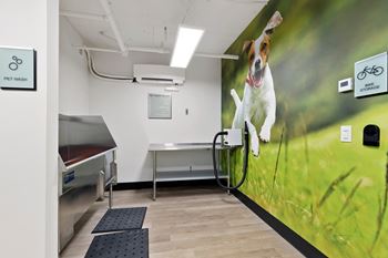 Pet wash station