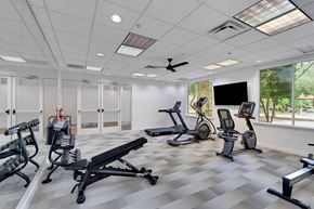 Dallas apartment for rent - Gym at AVIA Apartments On Alpha, Dallas, TX