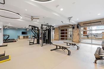 A gym with a variety of equipment including treadmills, weights, and benches.