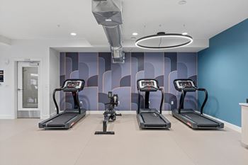 Three treadmills are lined up in a row in a gym.