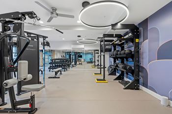 A gym with a variety of equipment including weights and a bench.