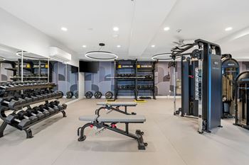 A gym with a variety of equipment including weights and a rowing machine.