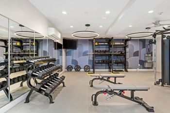 Gym with a variety of equipment including weight rack