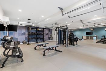 A gym with a variety of equipment including weights and benches.