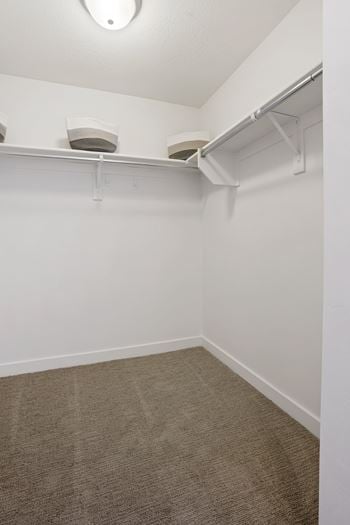 Walk-in closet with shelf
