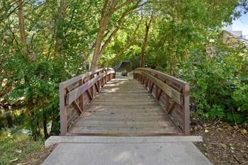 A wooden bridge over a stream surrounded by trees.