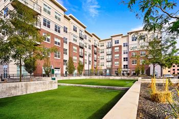 Large grassy area in front of apartment buildings
