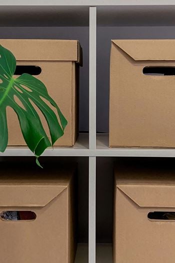 Four cardboard boxes