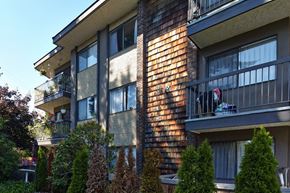 White Rock apartment for rent - an apartment building with a dog on a balcony