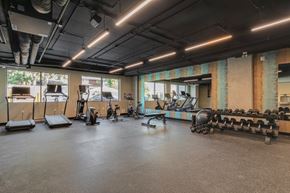 Calgary apartment for rent - A gym with a variety of equipment including treadmills, weights, and exercise machines.