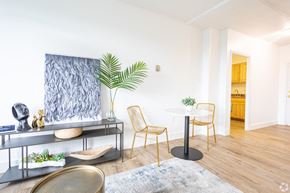 Richmond apartment for rent - A living room with a blue rug, a yellow chair, and a plant.